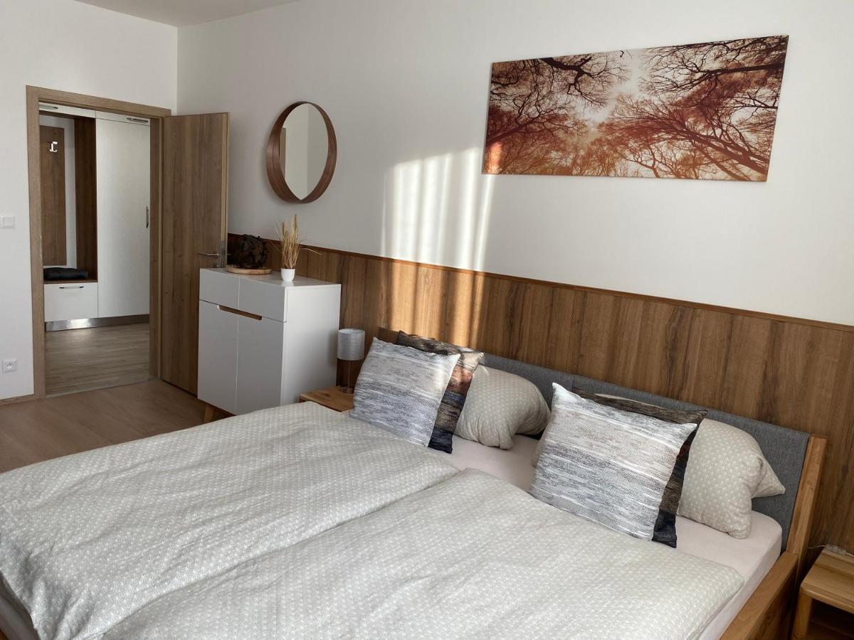 Apartment Petra Klinovec Loučná pod Klínovcem المظهر الخارجي الصورة
