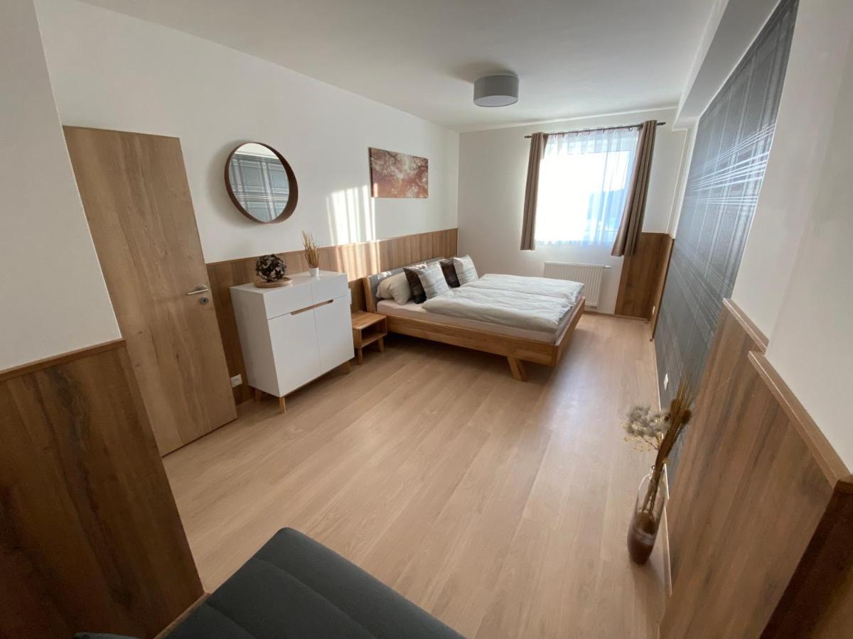 Apartment Petra Klinovec Loučná pod Klínovcem المظهر الخارجي الصورة